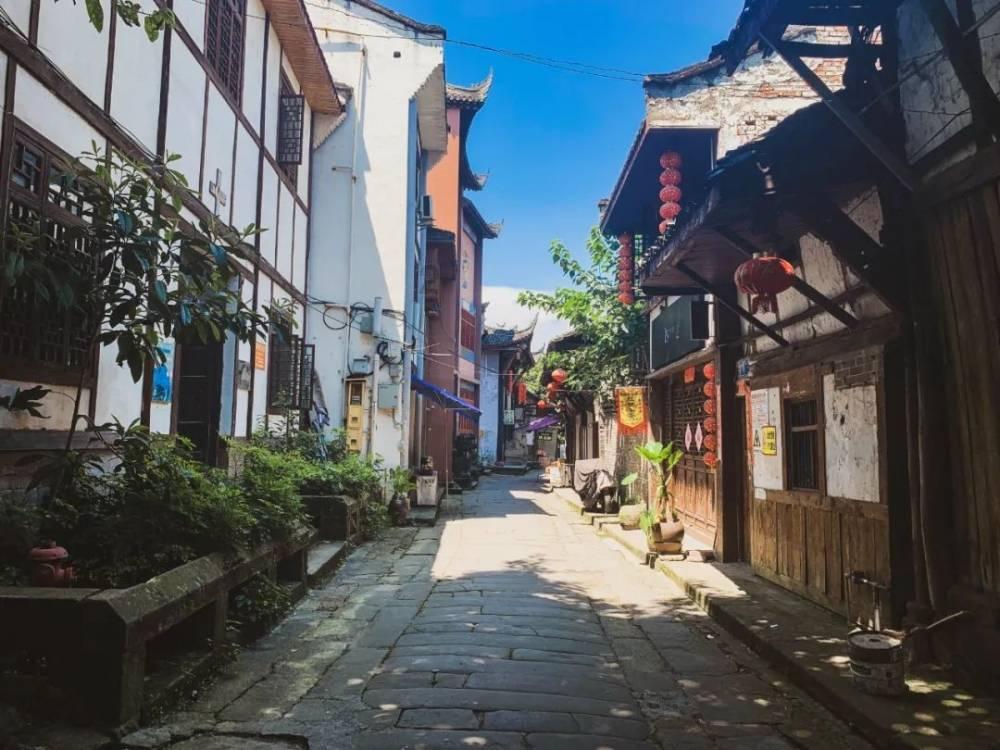”见行见效 津彩绽放”活动参赛作品:我为大姨测血氧